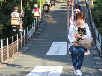 松山城 犬2