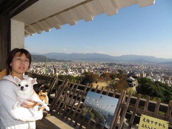 松山城 犬15