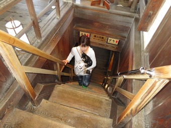 松山城 犬14