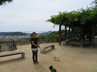 松山城 犬 リフト 1