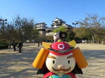 松山城 犬20