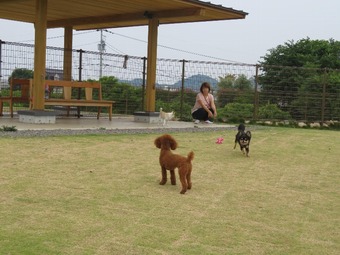 IMAGE003