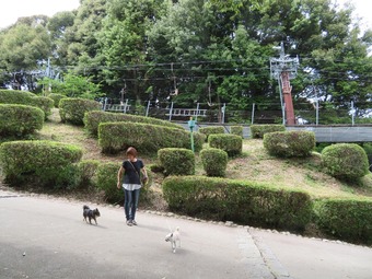 松山城 犬 リフト 3