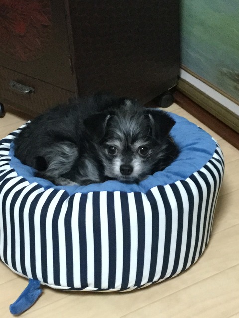 6853C5DC-F82E-464C-8936-092F305003E7