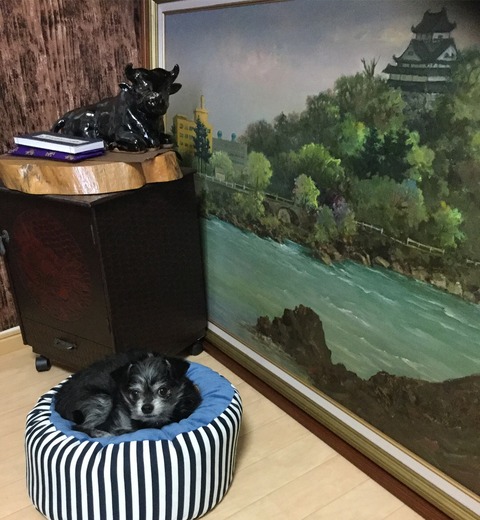 11A85135-9F9B-48CD-B481-68F8A540F6EE