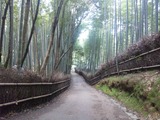 SH3G0091