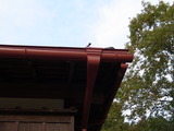 R0011257