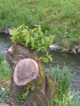R0011899
