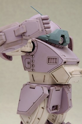 IMGP9501