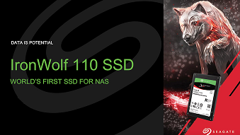 IronWolf 110