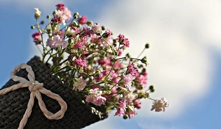 gypsophila-1716747_960_720