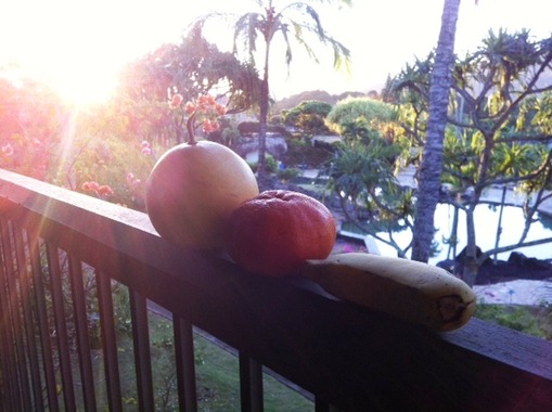 photo2
