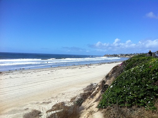 photo1