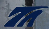 true_ames_fins