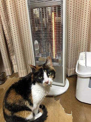 アラジングラファイトストーブ