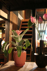 528d4413.jpg