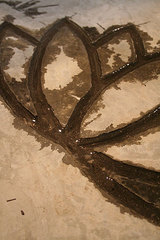de018d9b.jpg