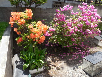 DSCN0268