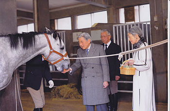 神馬・笑智号