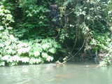 DSC00406
