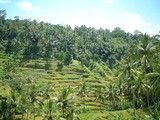 DSCF0135