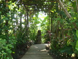 DSC01611