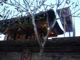DSC01020