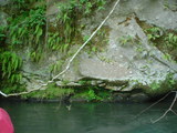 DSC00410