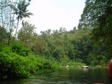 DSC00409