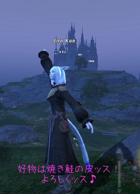 ff14_20101010_02
