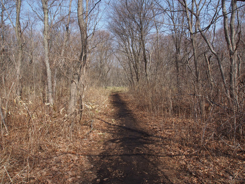 P3272700