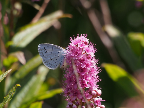 P7121544