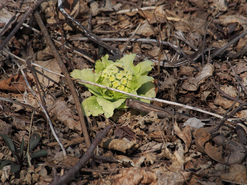 P4090980
