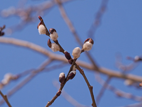 P3050108