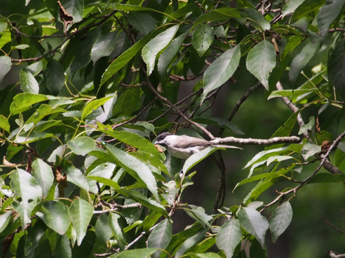 P8014349