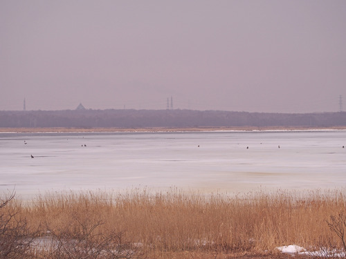 P3155762
