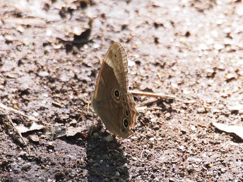 P9051911