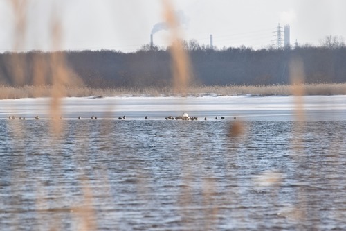 20160223viewDSC_0821