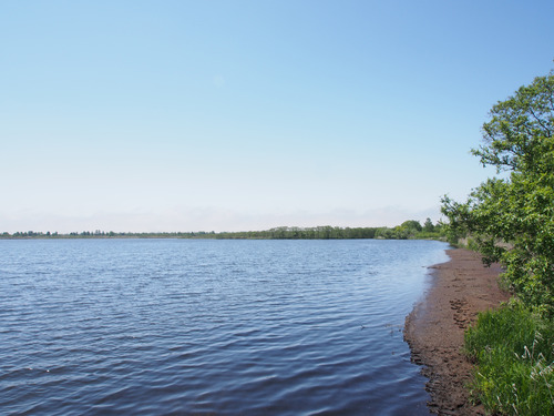 P5293444