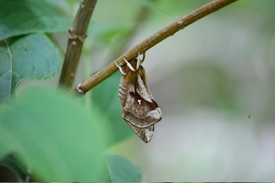 20150602-3