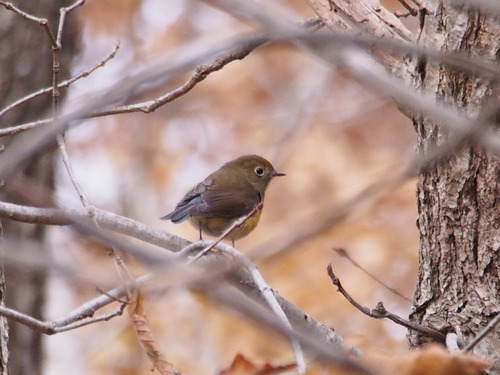 PB101228