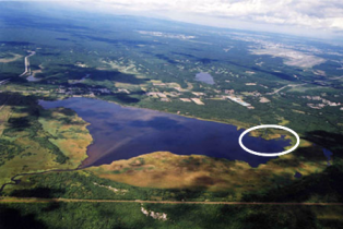 図1