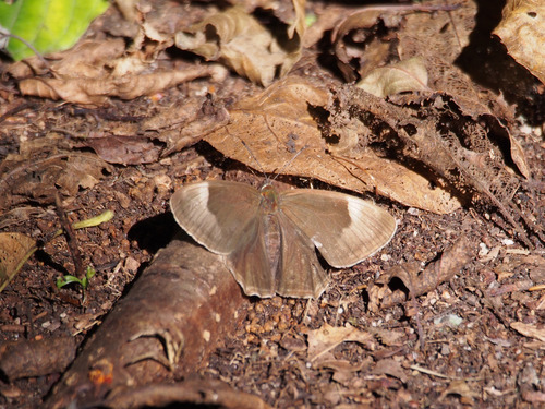 P9051883