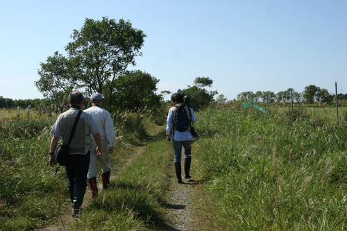 sitami