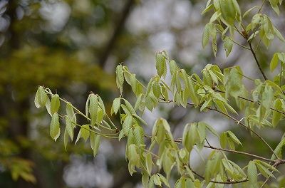 s-DSC_2073