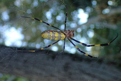 PA070149