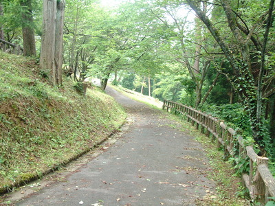 DSCF0213