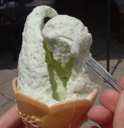 だだちゃ豆ジェラート2