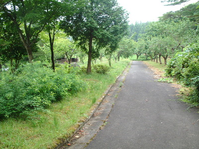 DSCF0220