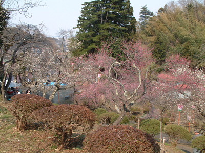 DSCF0050